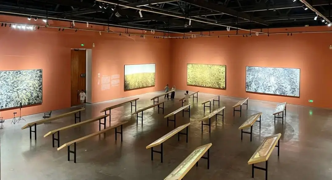 雅昌专稿 | “仰山”作为时代精神的基座