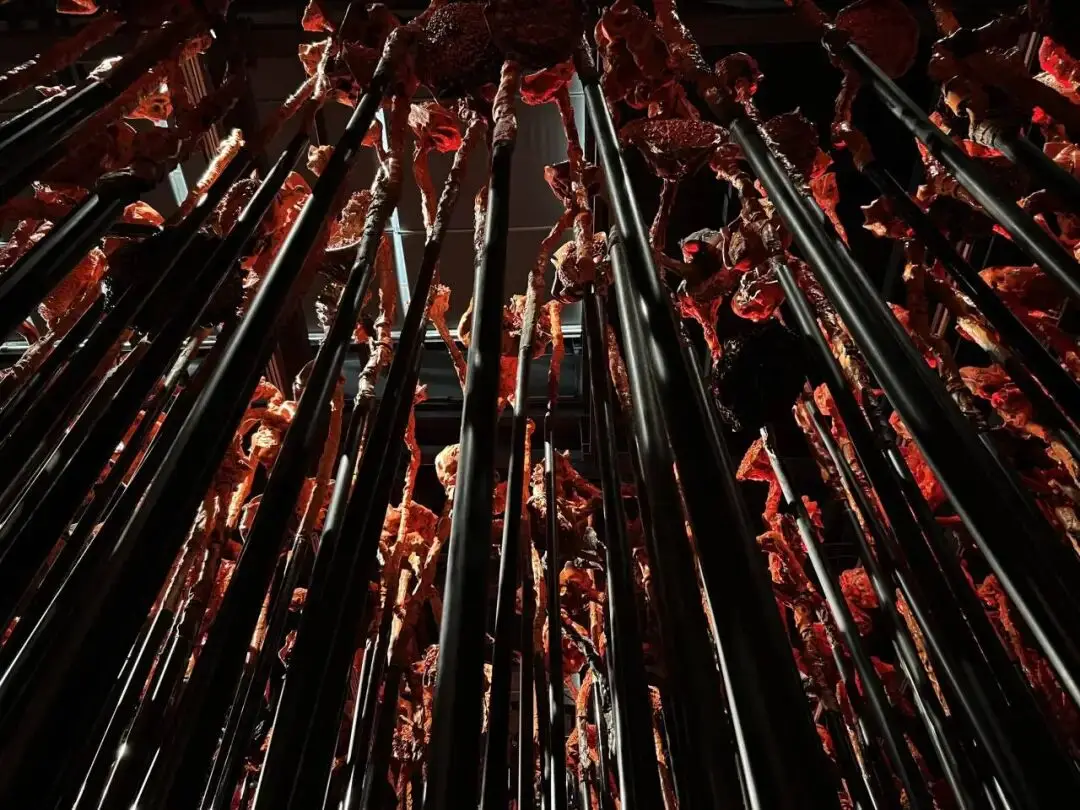 雅昌专稿 | “仰山”作为时代精神的基座