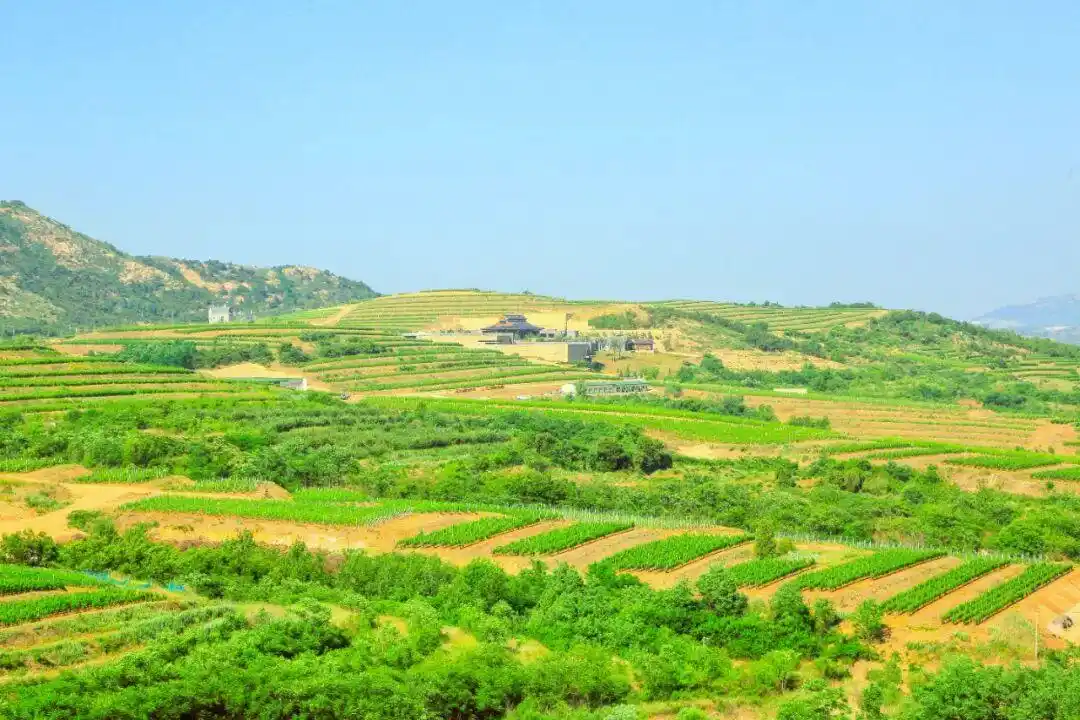 真·超全假期攻略！烟台巨巨巨好玩！