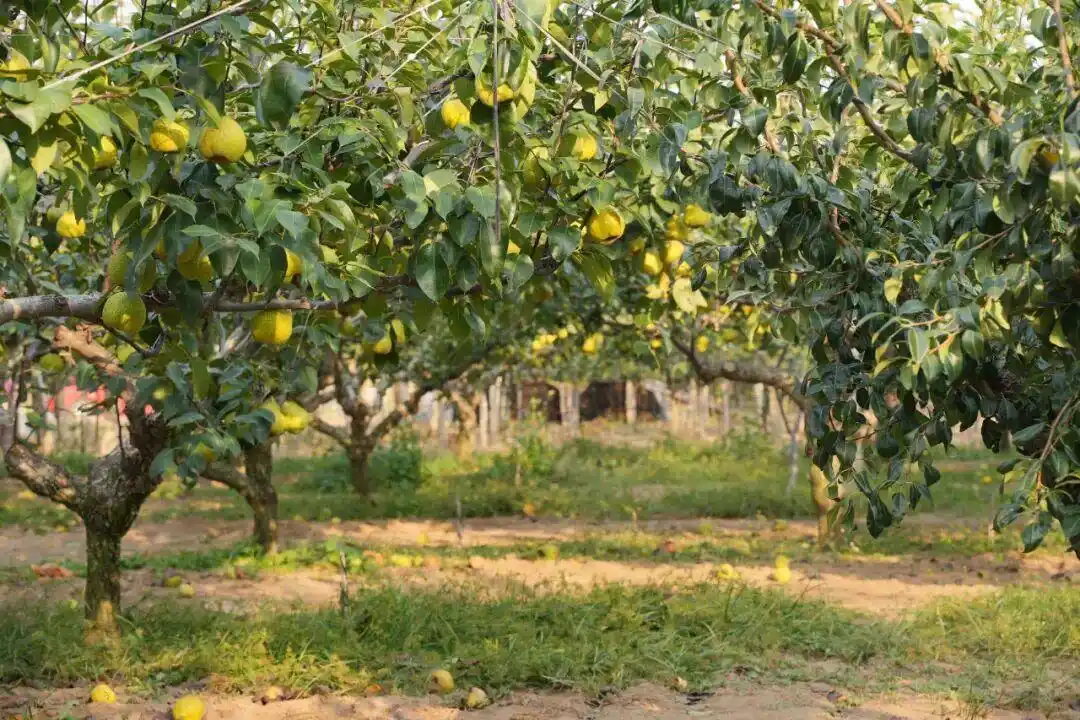 真·超全假期攻略！烟台巨巨巨好玩！