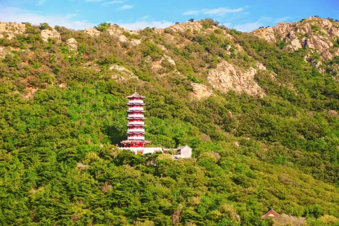 真·超全假期攻略！烟台巨巨巨好玩！