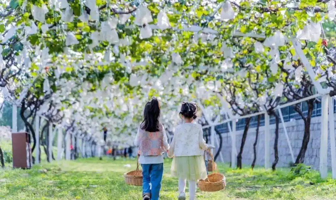 真·超全假期攻略！烟台巨巨巨好玩！