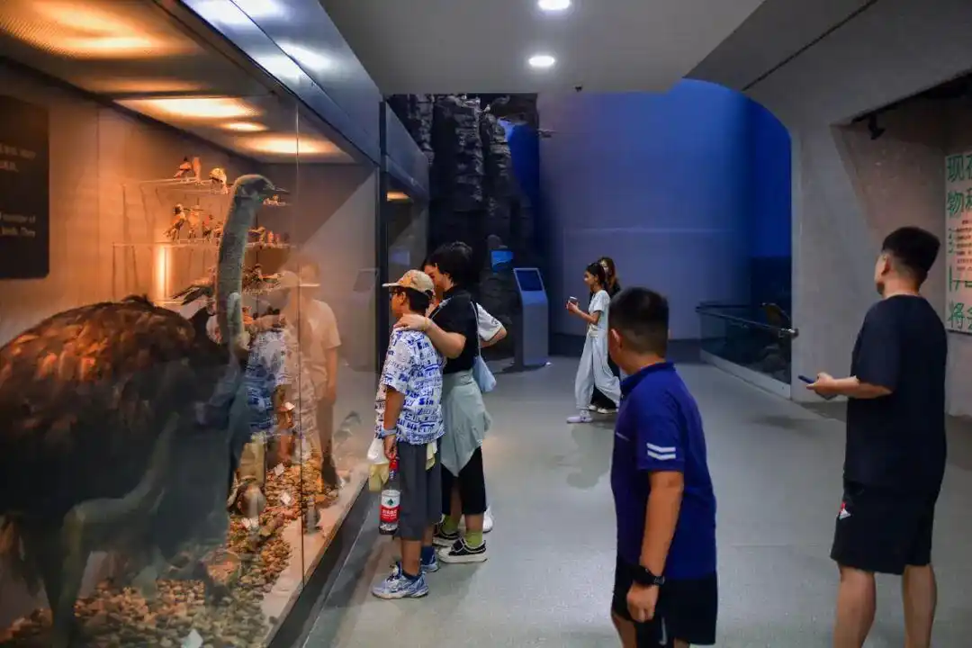 真·超全假期攻略！烟台巨巨巨好玩！