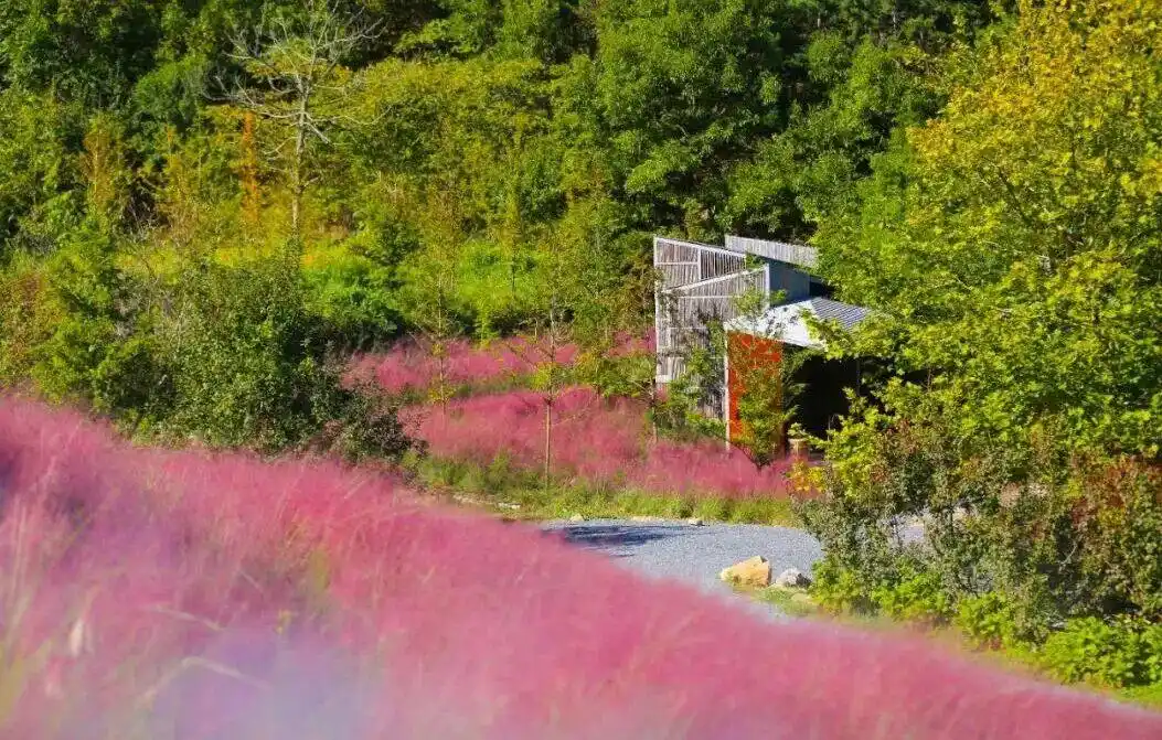 真·超全假期攻略！烟台巨巨巨好玩！