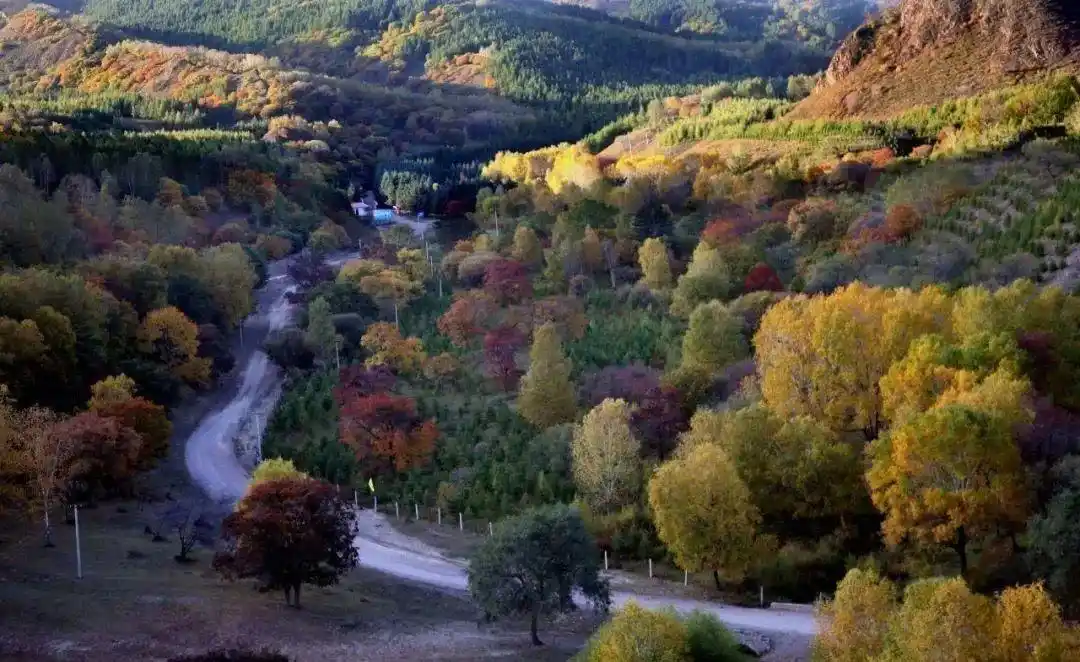 「畅游承德自由行」塞罕坝原来有这么多好玩的地方