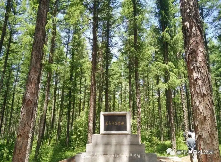 「畅游承德自由行」塞罕坝原来有这么多好玩的地方