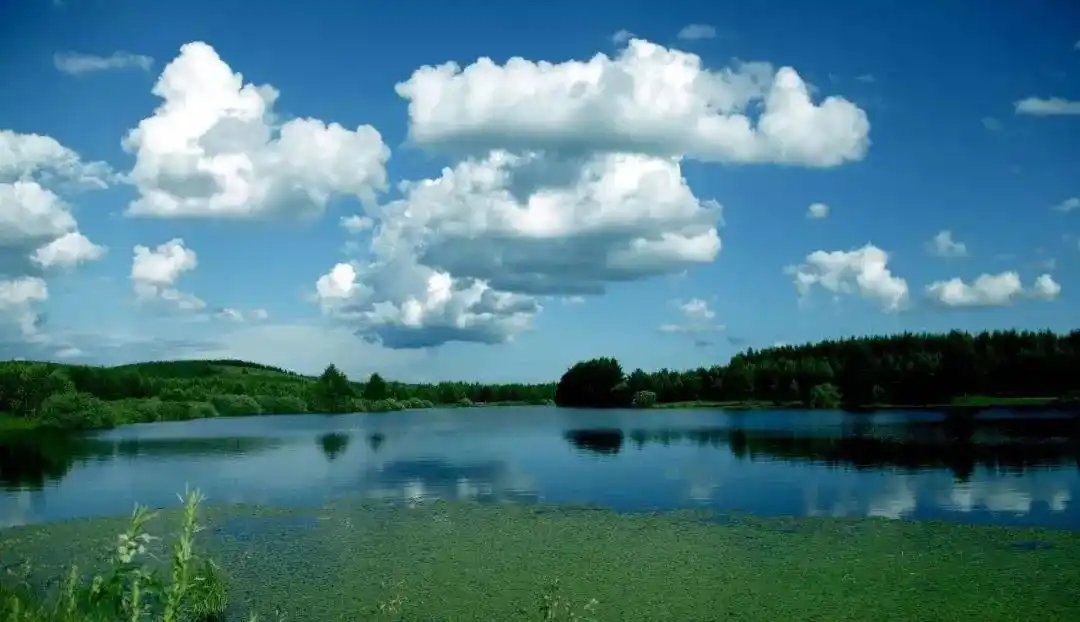 「畅游承德自由行」塞罕坝原来有这么多好玩的地方