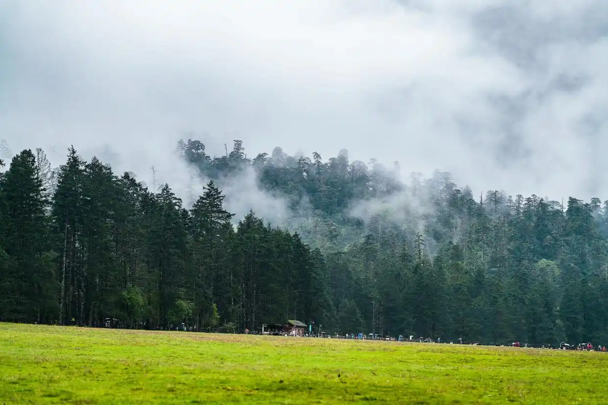 云新闻策划·来云南与秋天合个影丨明信片⑤：寄自·丽江古城