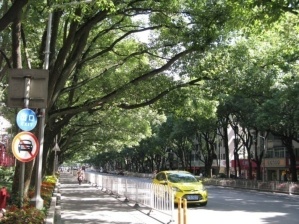 五大景点、“四大金刚”……几代人的青春铭刻丨老闵行的故事