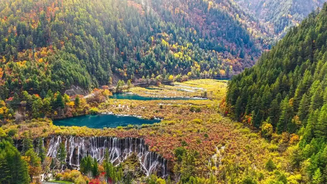国庆假期没抢到九寨沟门票？别买黄牛票，还有这招可以用