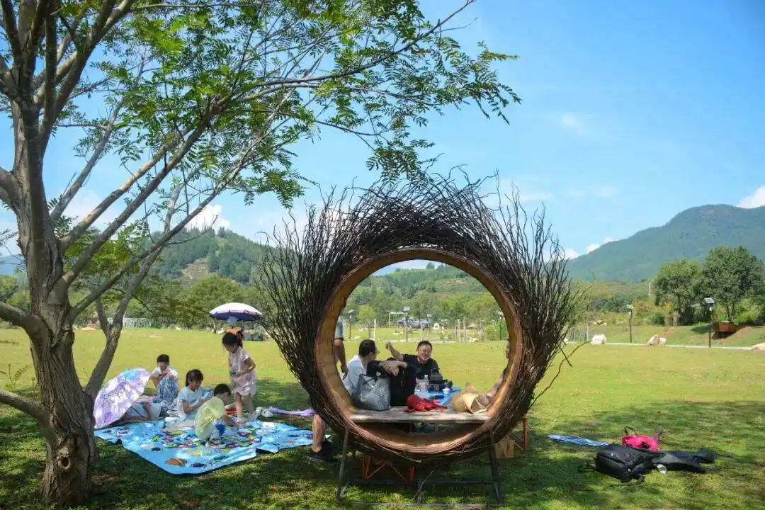 秋日漫游武夷山：看山、玩水、闻茶香，一步都不慌