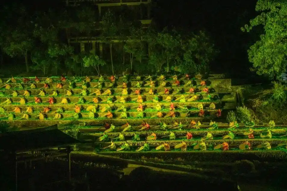 秋日漫游武夷山：看山、玩水、闻茶香，一步都不慌