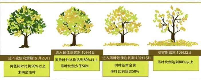 101对夫妻同乘一列火车，要去干嘛