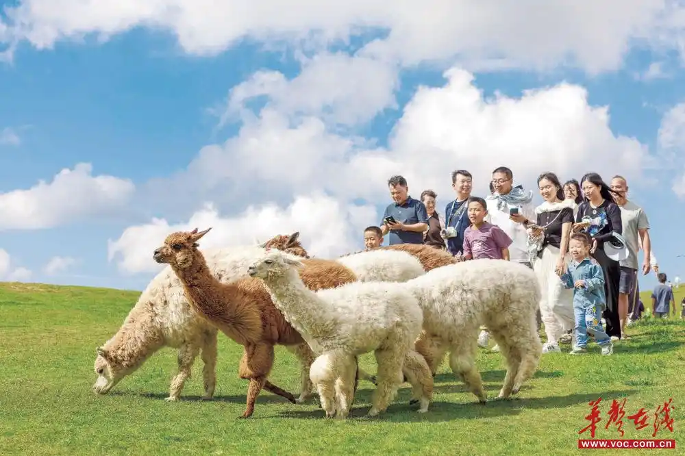 “网红景点”别样红