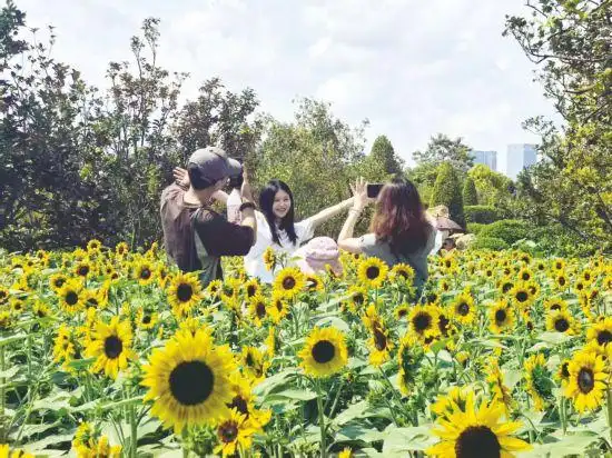 假期消费热情高涨 文旅融合出彩“出圈”