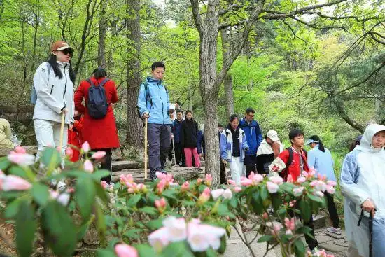 五一假期第二天：黄山风景区高峰平稳，“宠客”不断