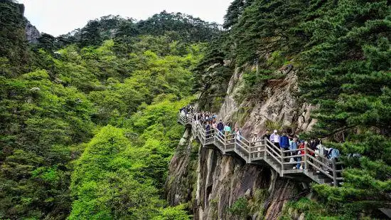 五一假期第二天：黄山风景区高峰平稳，“宠客”不断