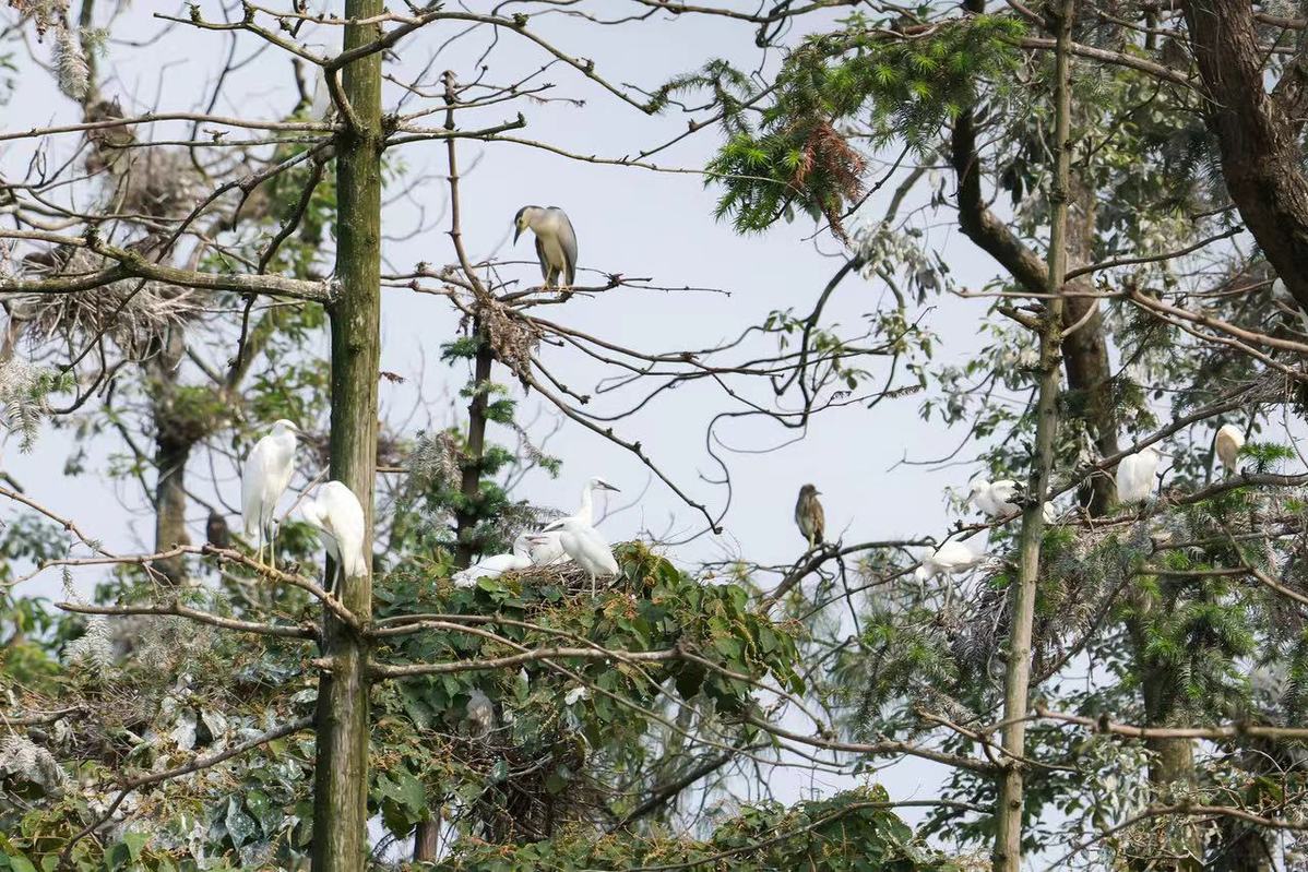 在“重庆西湖” 遇见好山好水好风光