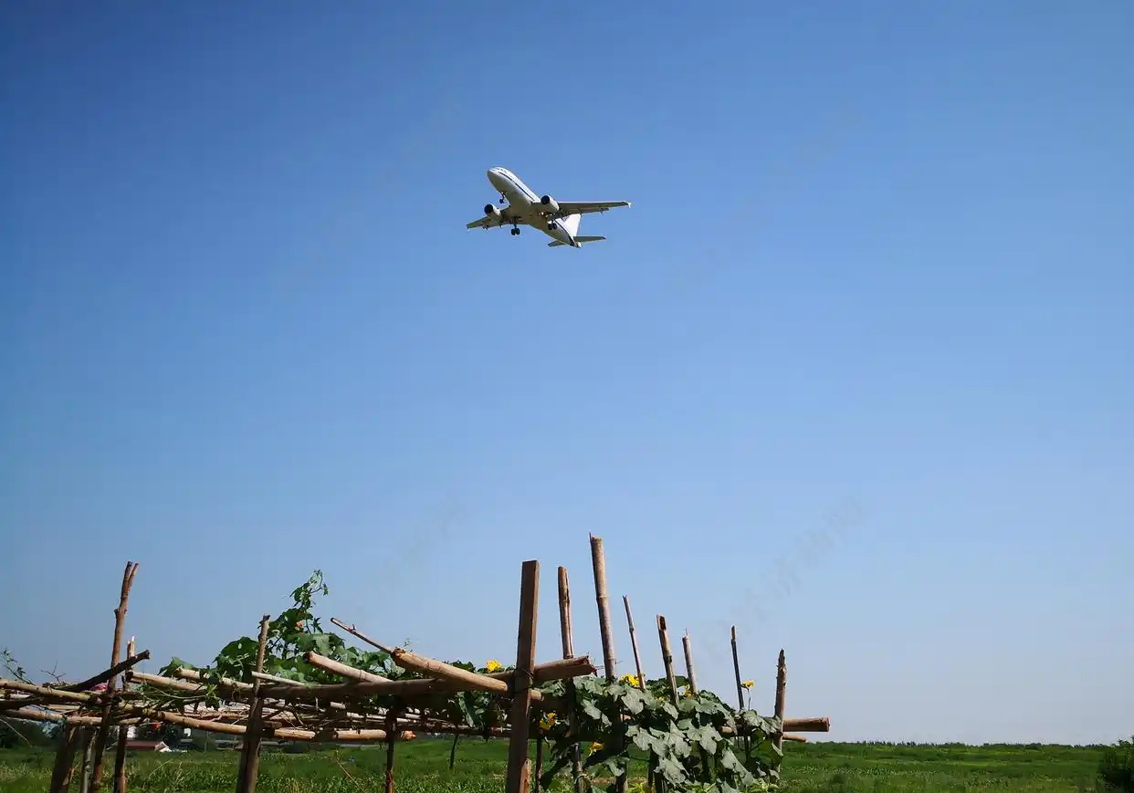 2025年“超级黄金周”数据盘点：出境入境双线升温，音乐节和体育赛事再度带火县域旅游