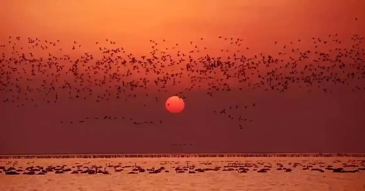 江西的名山名水，你去过几处？