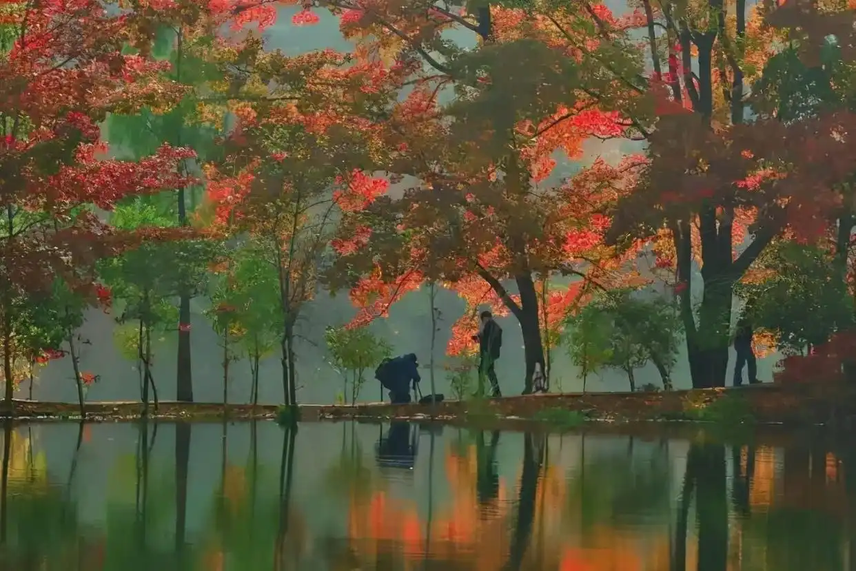 江西的名山名水，你去过几处？