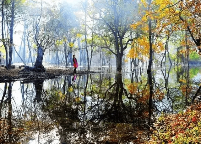 江西的名山名水，你去过几处？
