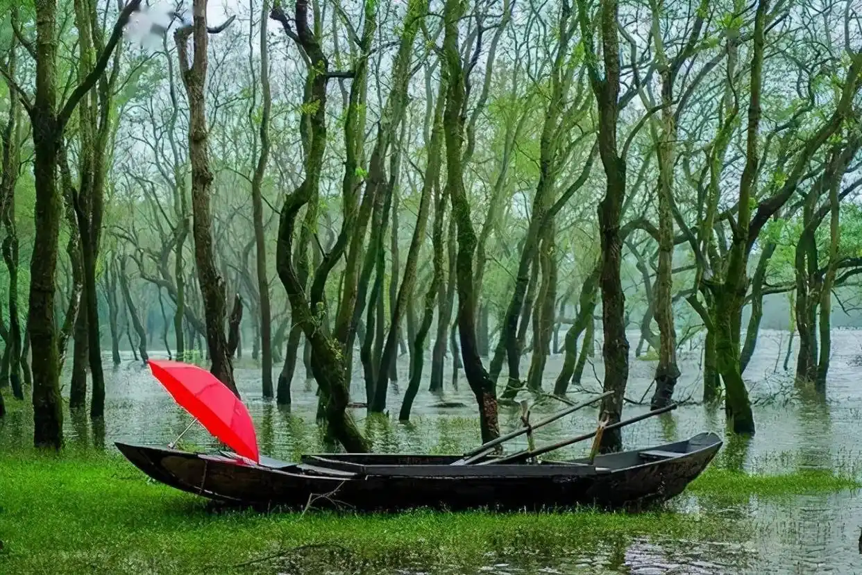 江西的名山名水，你去过几处？