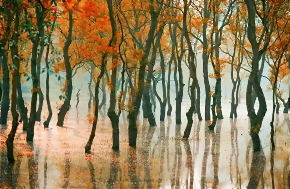 江西的名山名水，你去过几处？