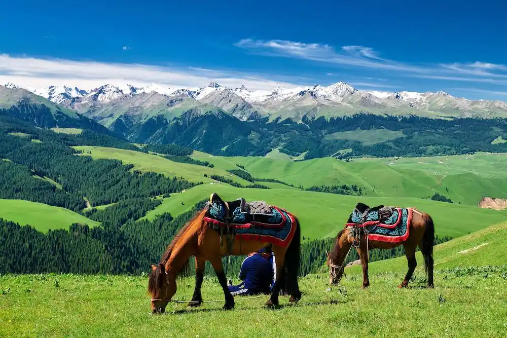 旅行综艺玩出新花样，与前任同行，真的可以好好告别吗？
