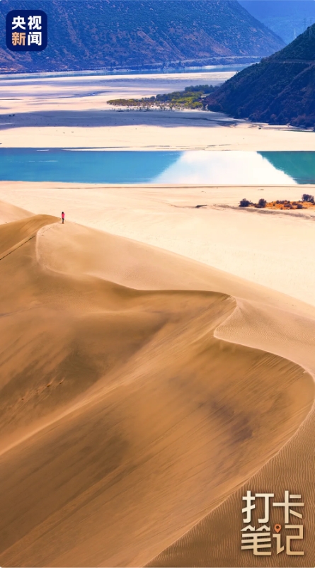 在 去 林 芝 可 太 香 了 ！