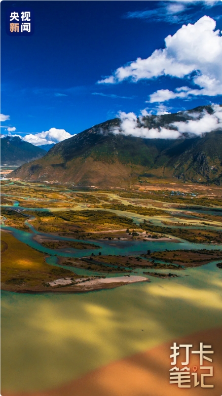 在 去 林 芝 可 太 香 了 ！