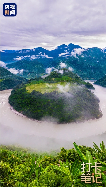 在 去 林 芝 可 太 香 了 ！