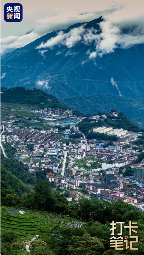 在 去 林 芝 可 太 香 了 ！