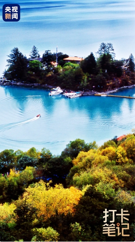 在 去 林 芝 可 太 香 了 ！