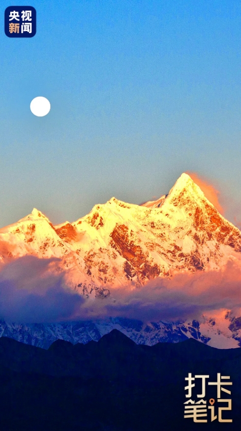 在 去 林 芝 可 太 香 了 ！