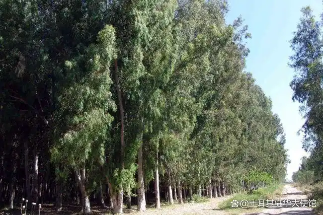 土耳其自然爱好者的一日生态旅游线路