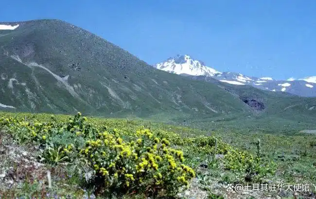 土耳其自然爱好者的一日生态旅游线路