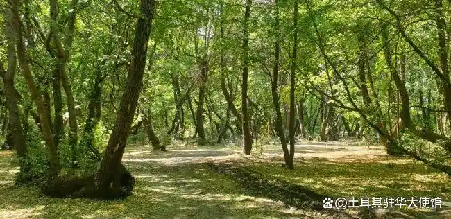 土耳其自然爱好者的一日生态旅游线路