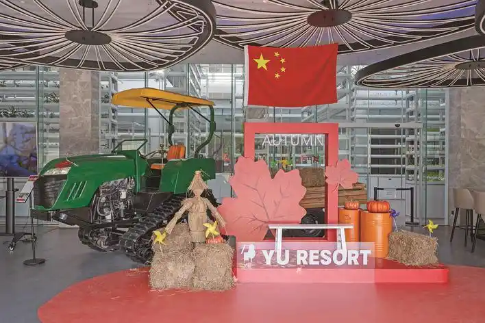 嘉兴特色民宿“出圈”记