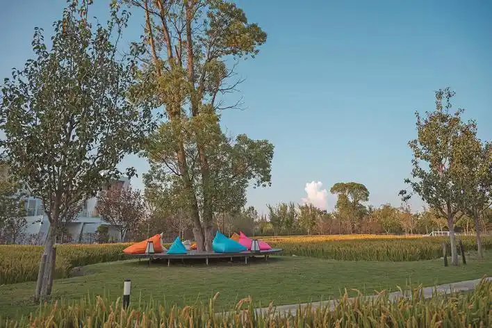 嘉兴特色民宿“出圈”记