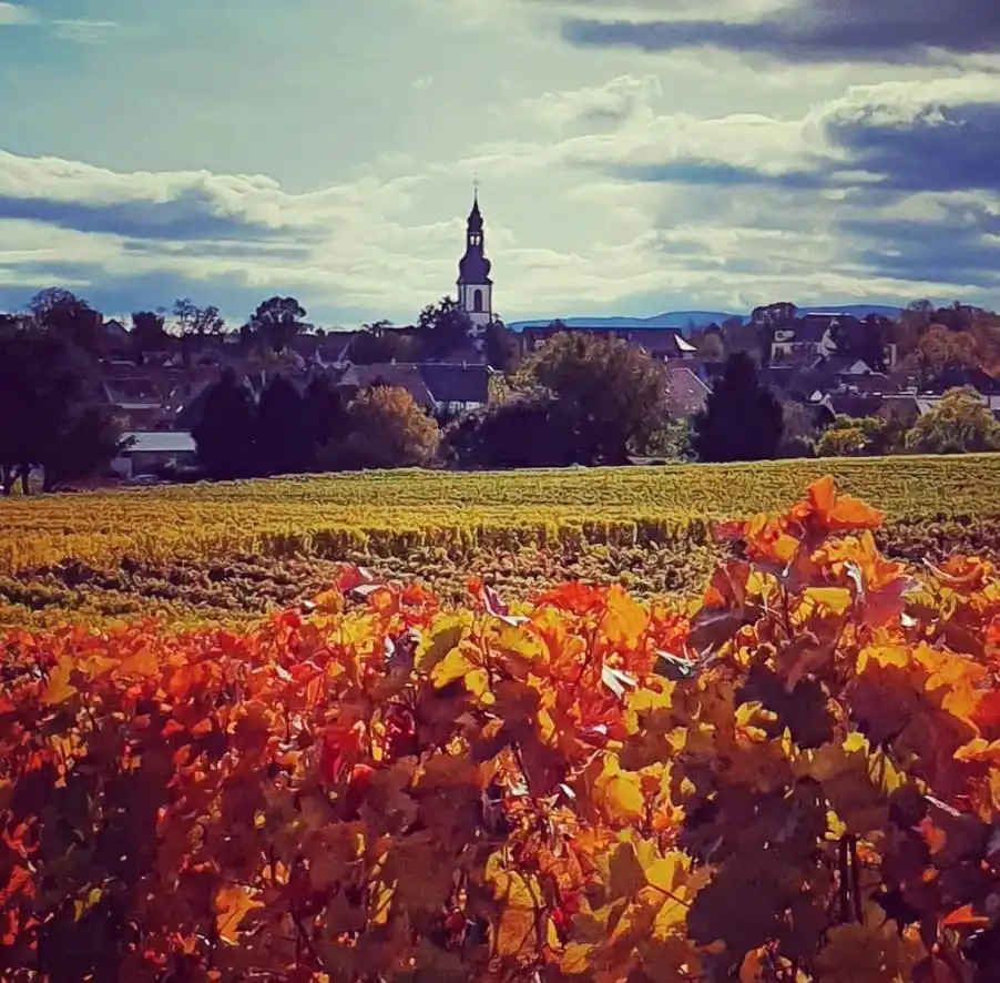 去德国旅行，试试以下这10件事吧，让你拥有更加值得回味的内容
