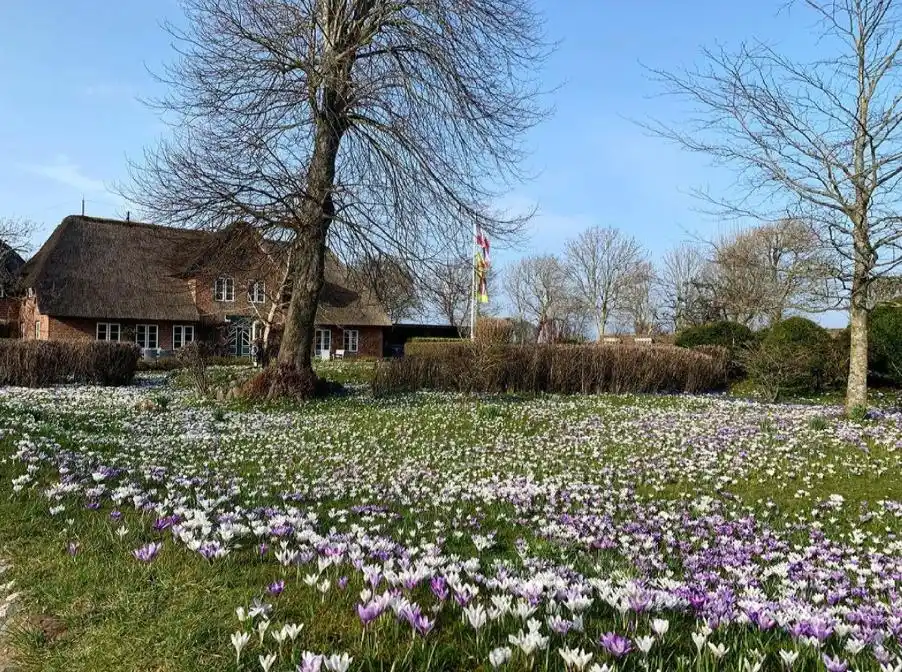 去德国旅行，试试以下这10件事吧，让你拥有更加值得回味的内容