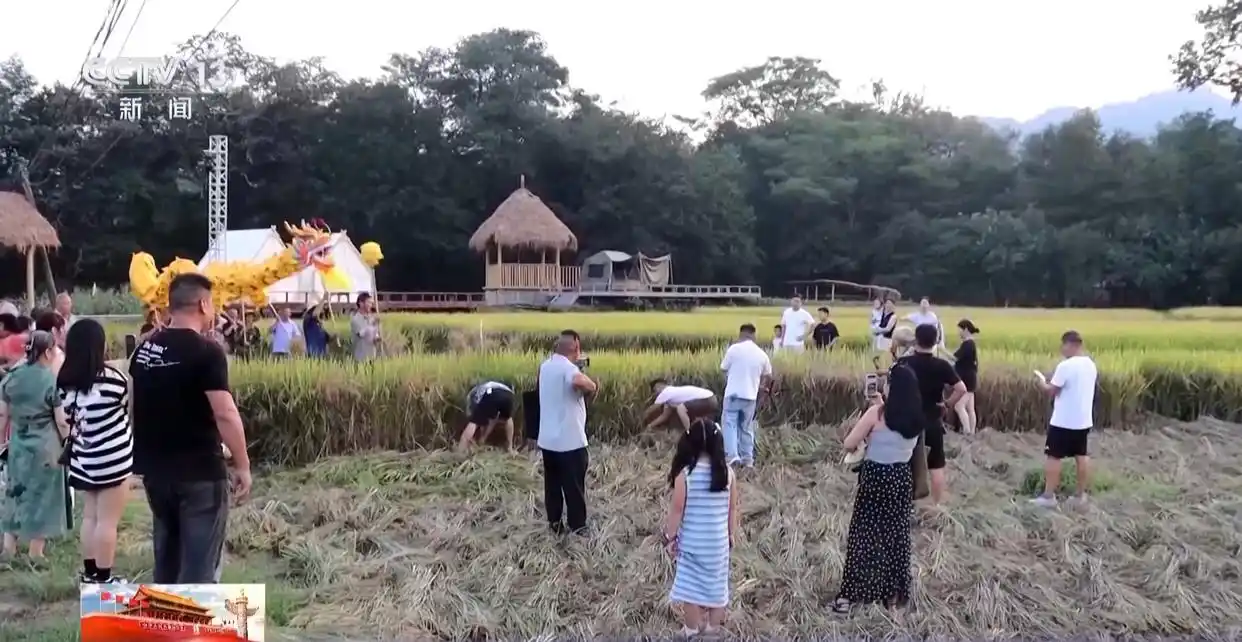 住得更长 玩得更深 外国游客热衷于探索“宝藏景点”