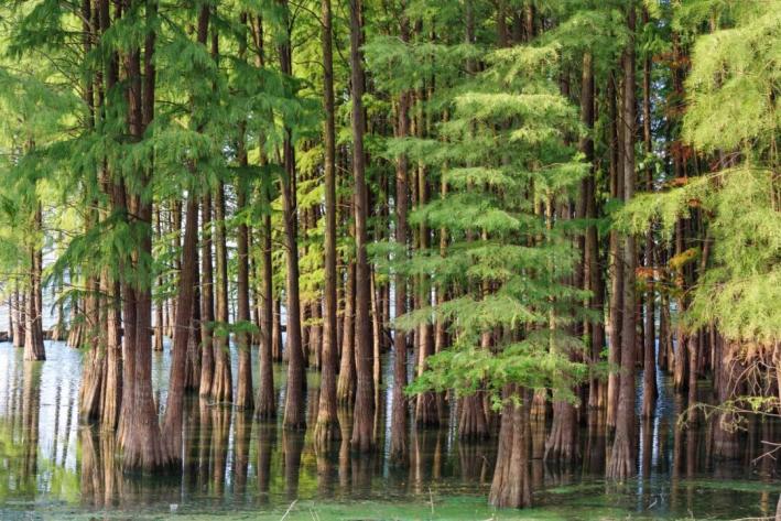 江苏常州旅游攻略，常州10大免费又好玩的景点，你都知道吗？