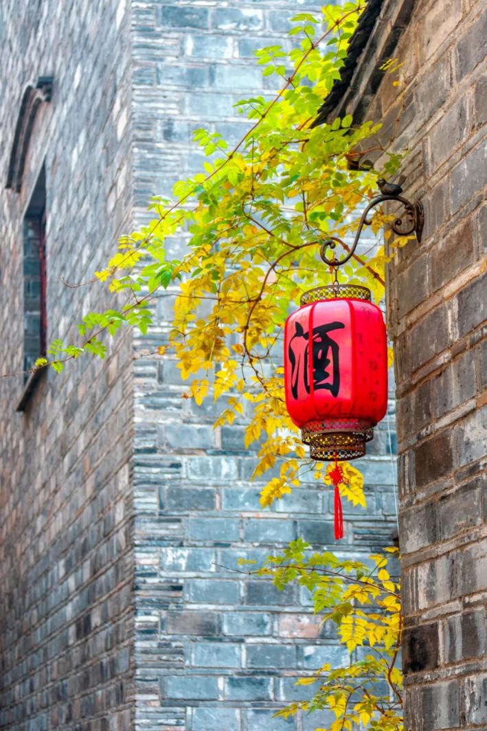 江苏常州旅游攻略，常州10大免费又好玩的景点，你都知道吗？