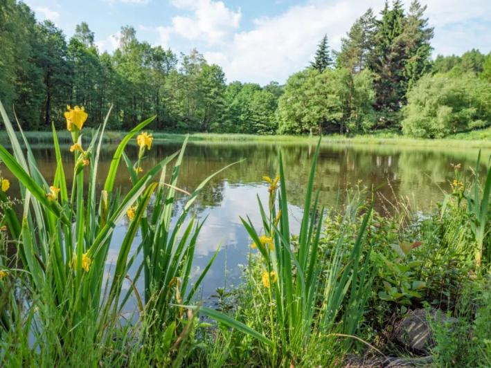 江苏常州旅游攻略，常州10大免费又好玩的景点，你都知道吗？