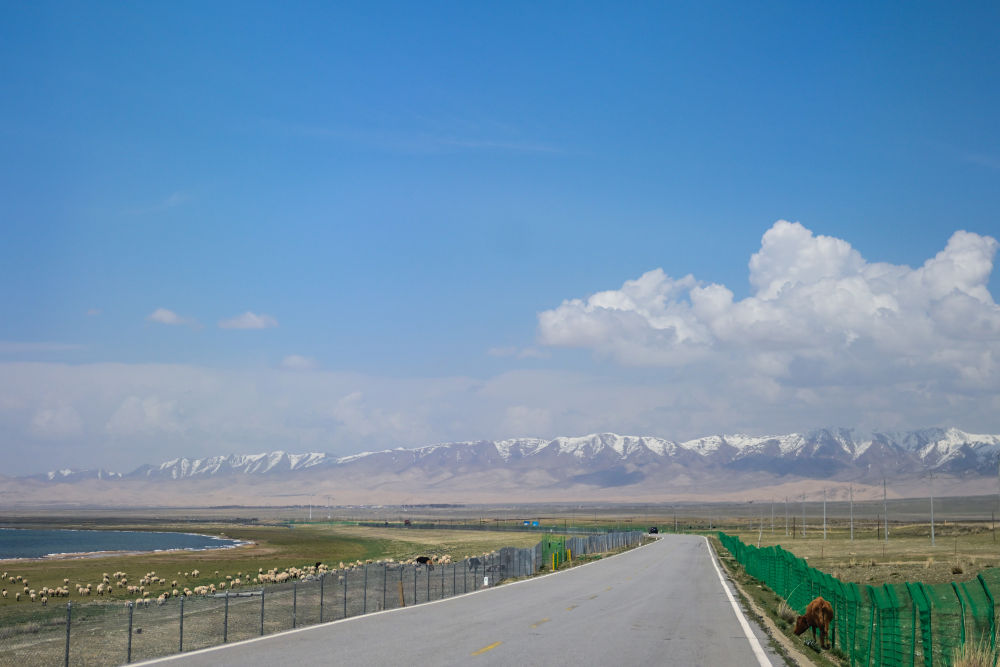 为何修建？赶游客入景点？三问青海湖“围栏挡景”