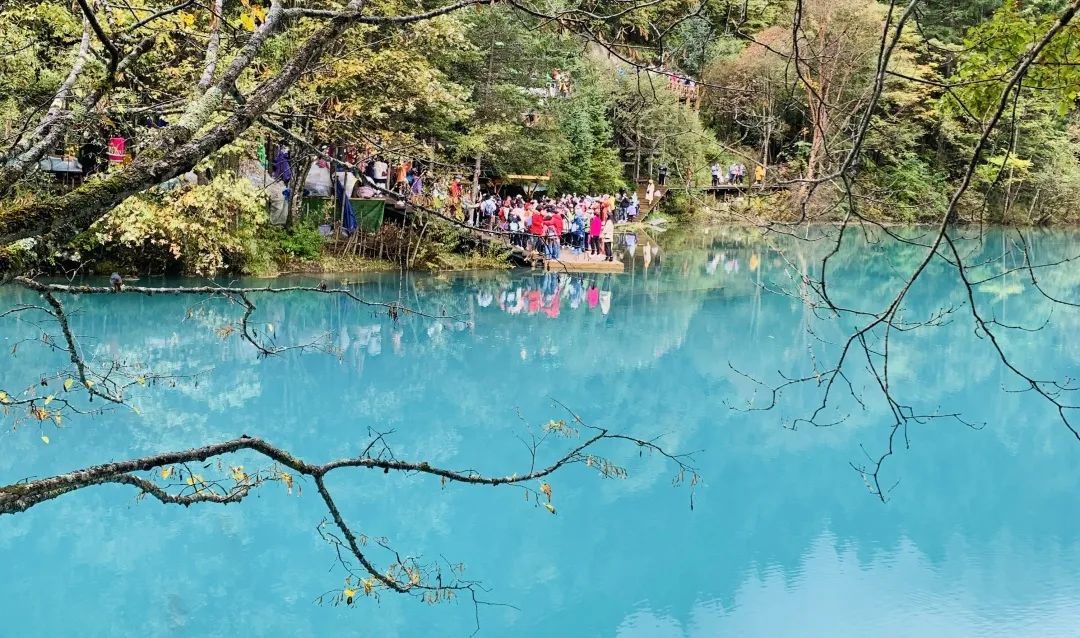九寨沟蜜月之旅成逛“三无”购物店，谁之过？