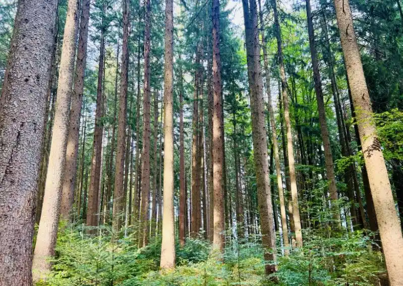 2024年德国致力打造可持续发展文化旅游目的地