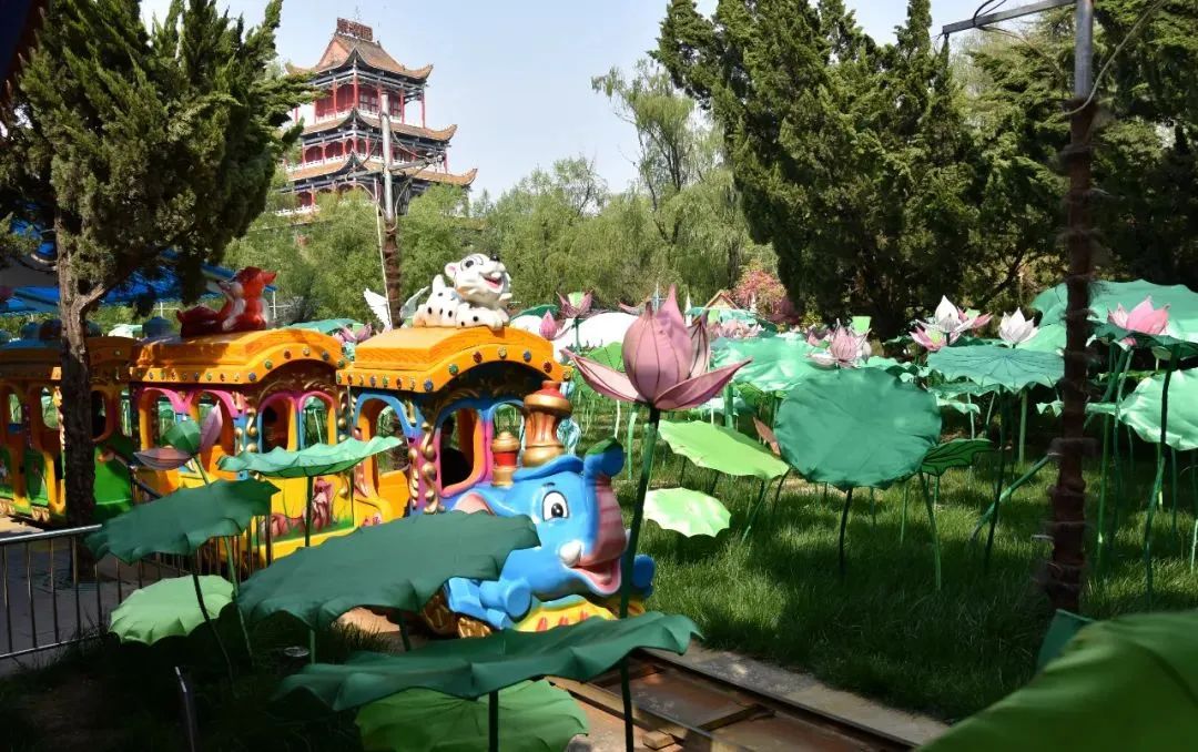 河南十大免费景点，每一个都值得一去